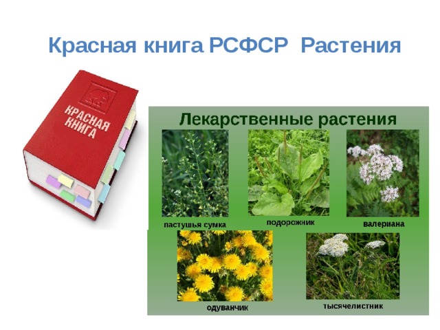 Красная книга РСФСР Растения