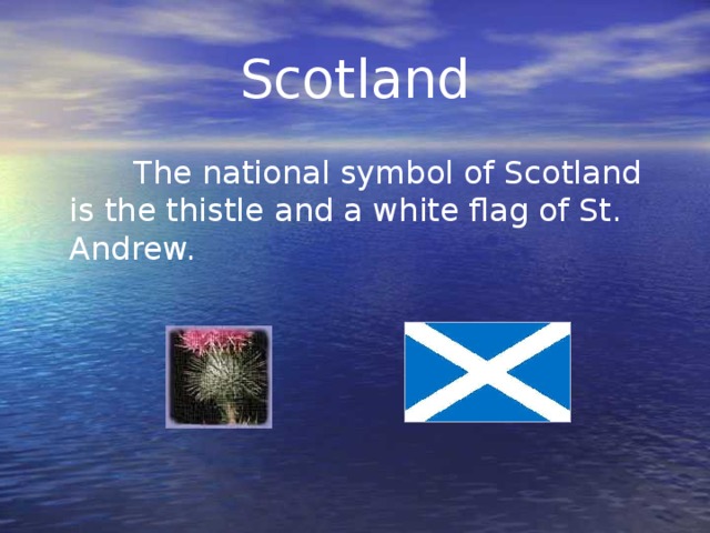 Scotland  The national symbol of Scotland is the thistle and a white flag of St. Andrew.