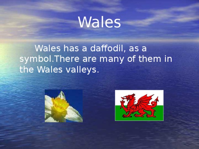 Wales  Wales has a daffodil, as a symbol.There are many of them in the Wales valleys.