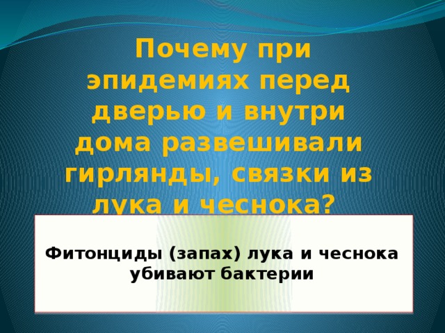 Почему при эпидемиях перед дверью и внутри дома развешивали гирлянды, связки из лука и чеснока?  Фитонциды (запах) лука и чеснока убивают бактерии