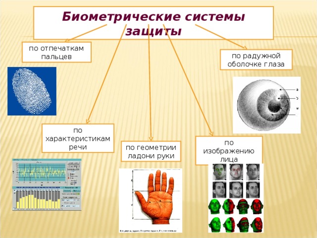 Биометрические системы защиты по отпечаткам пальцев по радужной оболочке глаза по характеристикам речи по изображению лица по геометрии ладони руки 14
