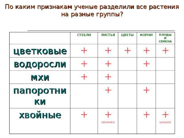 Друг какой признаки. По каким признакам ученые разделили все растения на разные группы. По какому признаку растения делятся на группы. По каким признакам растения делят на группы. По какому признаку можно разделить растения на группы.