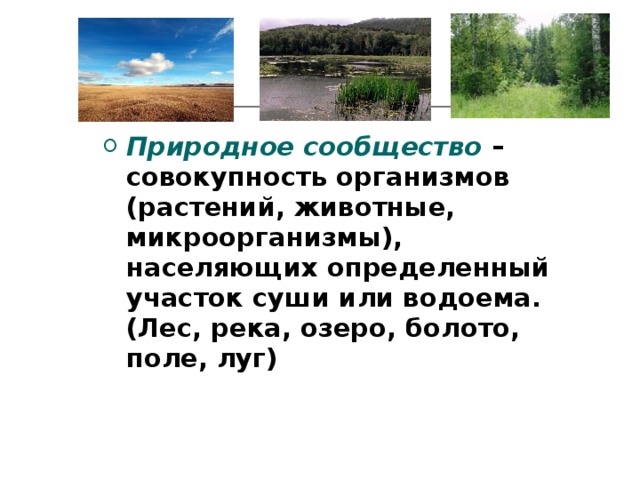 Презентация природное сообщество водоем 3 класс