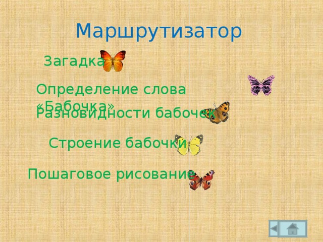 Маршрутизатор  Загадка Определение слова «Бабочка» Разновидности бабочек Строение бабочки Пошаговое рисование