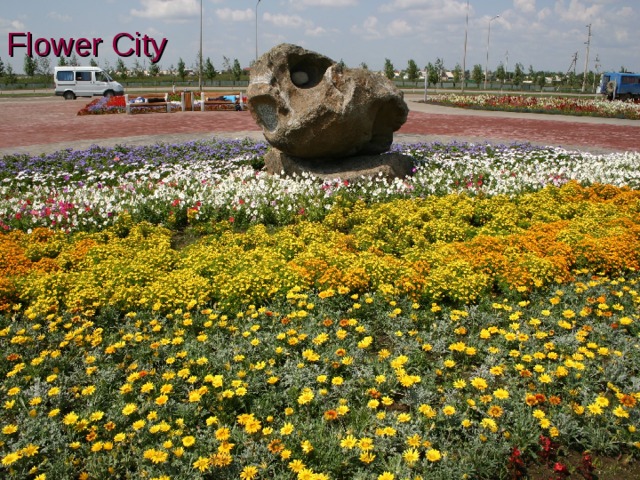 Flower City