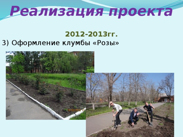 Реализация проекта 2012-2013гг. 3) Оформление клумбы «Розы»