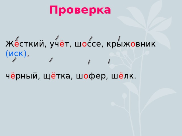 Проверка  Ж ё сткий, уч ё т, ш о ссе, крыж о вник (иск) , ч ё рный, щ ё тка, ш о фер, ш ё лк.