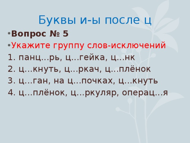 И ы после ц 5 класс презентация