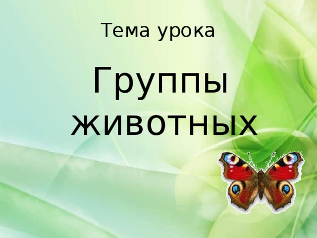 Тема урока  Группы животных