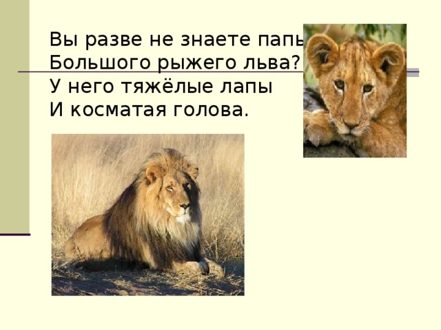 Вы разве не знаете папы- Большого рыжего льва? У него тяжёлые лапы И косматая голова.
