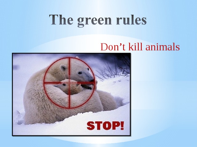 Don’t kill animals