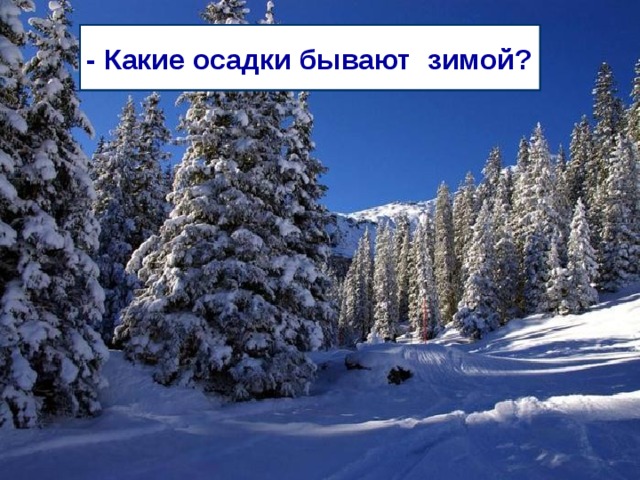 - Какое сейчас время года? - Назовите зимние месяцы. - Какая сегодня погода?  Какие изменения произошли в - Какие осадки бывают зимой?  природе с приходом зимы?