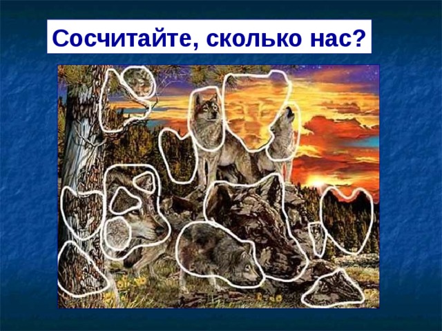 Сосчитайте, сколько нас?