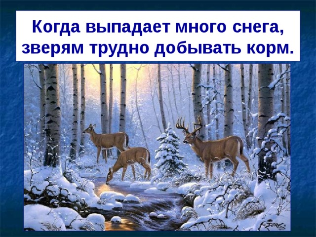 Когда выпадает много снега, зверям трудно добывать корм.