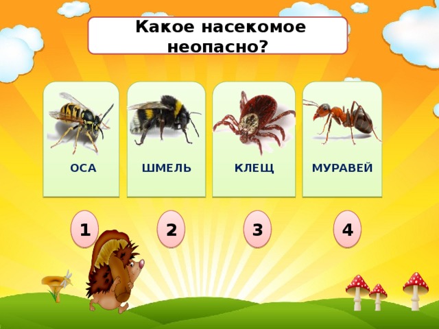 Какое насекомое неопасно?             КЛЕЩ МУРАВЕЙ ШМЕЛЬ  ОСА 1 3 2 4