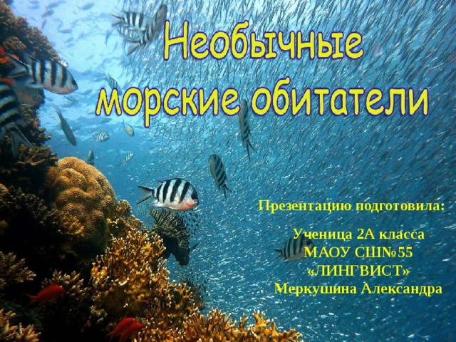 Презентацию подготовила: Ученица 2А класса МАОУ СШ№55 «ЛИНГВИСТ» Меркушина Александра