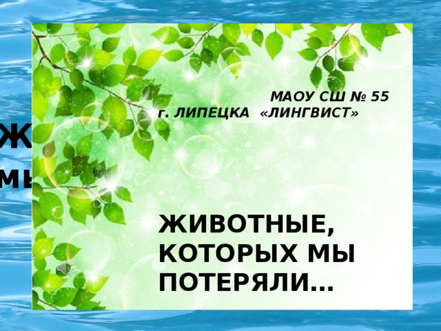 МАОУ СШ № 55 ЛИНГВИСТ  МАОУ СШ № 55 г. ЛИПЕЦКА «ЛИНГВИСТ»   ЖИВОТНЫЕ, КОТОРЫХ МЫ ПОТЕРЯЛИ…   ГОРЬКАЕВ ИГОРЬ  2 А класс   2017 Животные, которых мы потеряли… Гигантская фосса -  Cryptoprocta spelea  - примерно в четверть раза превышала по величине ныне существующий вид, достигая величины оцелота. Предполагается, что гигантская фосса охотилась на гигантских лемуров - все они исчезли с момента заселения Мадагаскара людьми. Горькаев Игорь  2 А класс