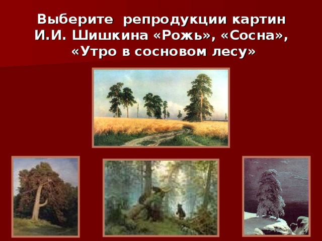 Выберите репродукции картин  И.И. Шишкина  «Рожь», «Сосна»,  «Утро в сосновом лесу»