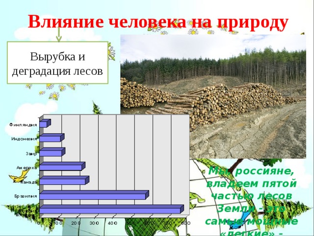 Влияние человека на природу Вырубка и деградация лесов Мы, россияне, владеем пятой частью лесов Земли - это самые мощные «легкие» - планеты.