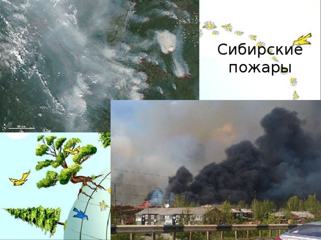 Сибирские пожары