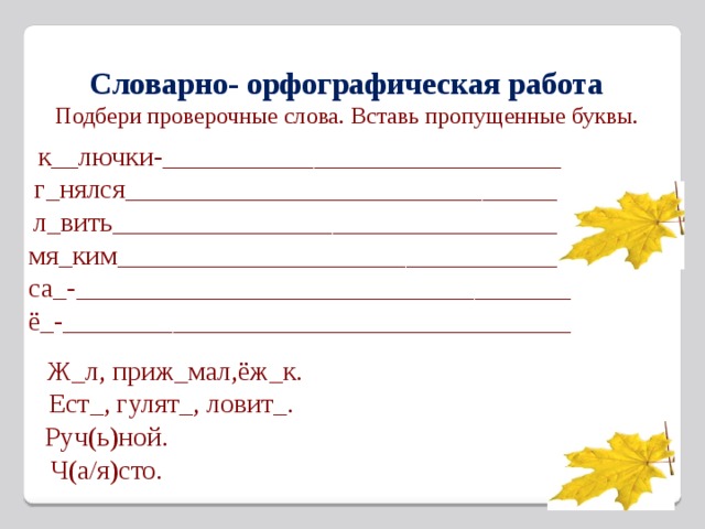 Словарно- орфографическая работа Подбери проверочные слова. Вставь пропущенные буквы.  к__лючки-_____________________________ г_нялся________________________________ л_вить_________________________________ мя_ким_________________________________ са_-____________________________________ ё_-_____________________________________  Ж_л, приж_мал,ёж_к.  Ест_, гулят_, ловит_. Руч(ь)ной. Ч(а/я)сто.