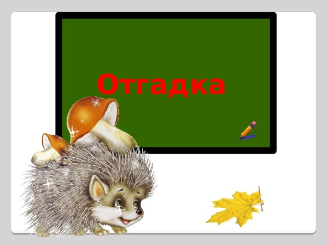 Отгадка