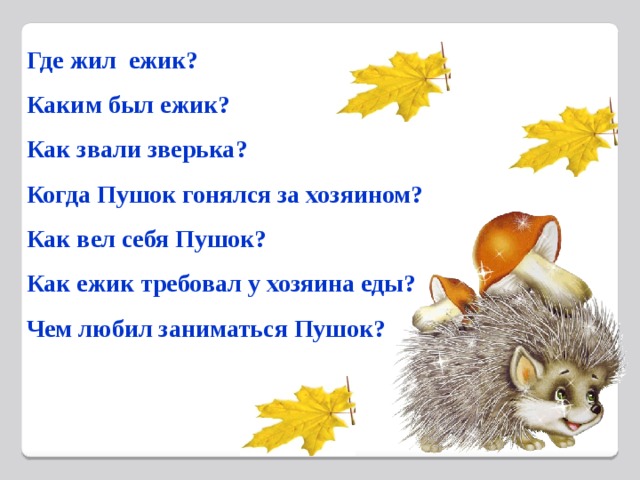 Где жил ежик? Каким был ежик? Как звали зверька? Когда Пушок гонялся за хозяином? Как вел себя Пушок? Как ежик требовал у хозяина еды? Чем любил заниматься Пушок?