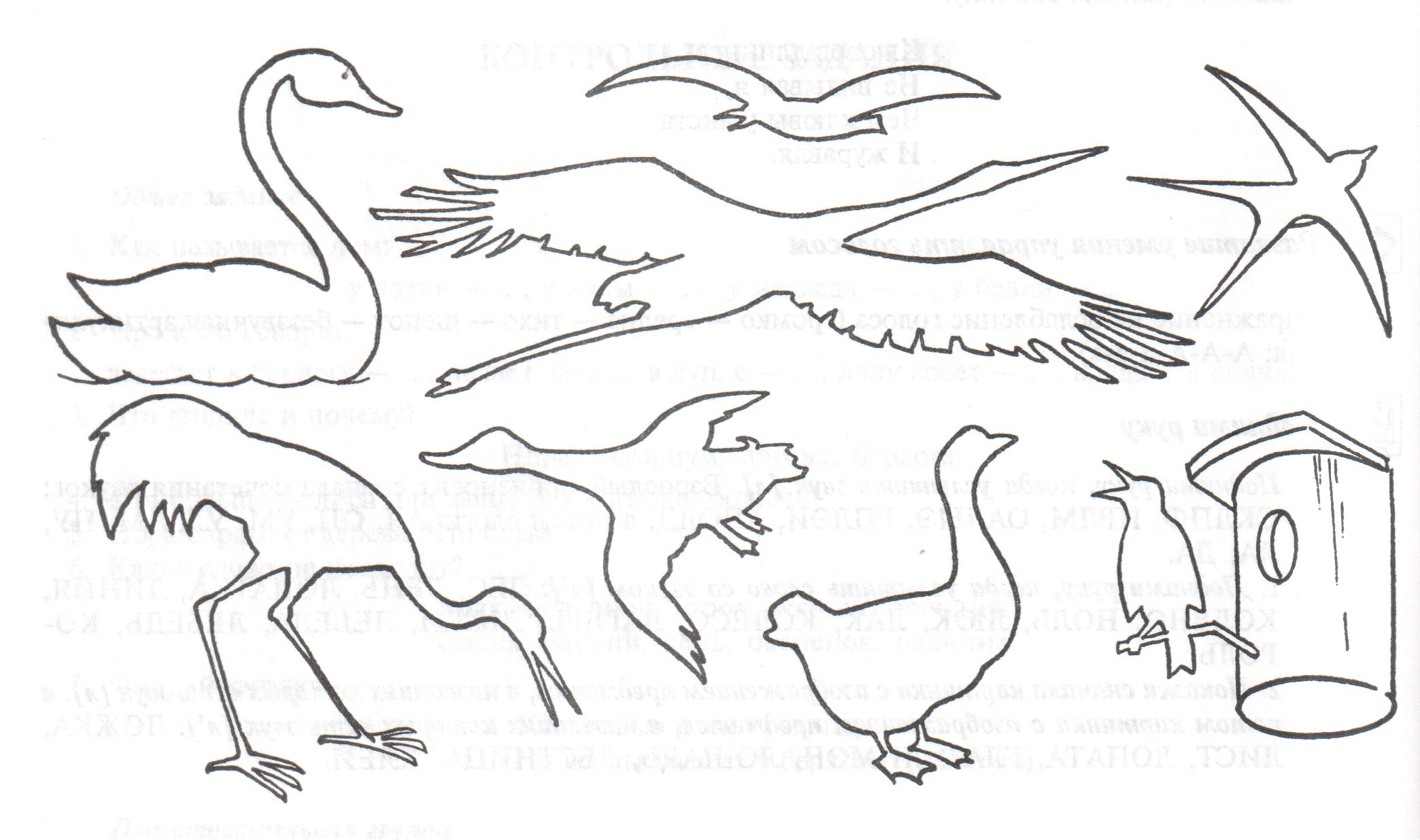 Перелетные птицы задания логопеда