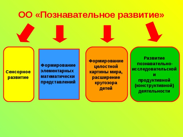 ОО «Познавательное развитие» Сенсорное развитие Формирование целостной картины мира, расширение кругозора детей Развитие познавательно- исследовательской и продуктивной (конструктивной) деятельности   Формирование элементарных математически представлений