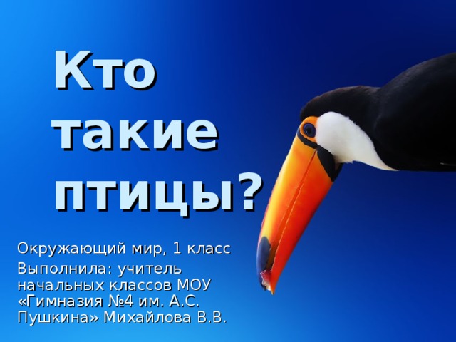 Кто  такие птицы? Окружающий мир, 1 класс Выполнила: учитель начальных классов МОУ «Гимназия №4 им. А.С. Пушкина» Михайлова В.В.