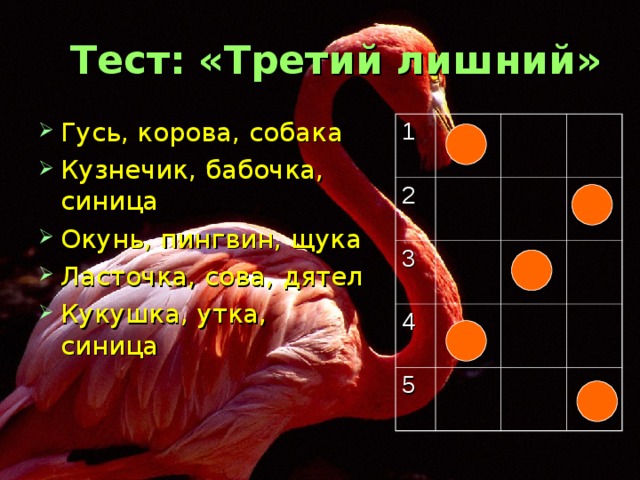 Тест: «Третий лишний» Гусь, корова, собака Кузнечик, бабочка, синица Окунь, пингвин, щука Ласточка, сова, дятел Кукушка, утка, синица 1 2 3 4 5