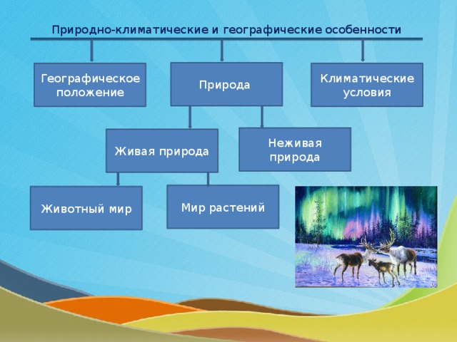 Природно-климатические и географические особенности Природа Географическое положение Климатические условия Неживая природа Живая природа Мир растений Животный мир