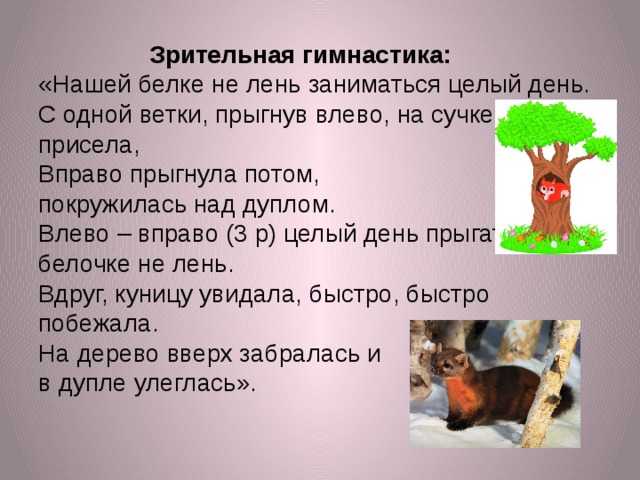 Зрительная гимнастика:  «Нашей белке не лень заниматься целый день.  С одной ветки, прыгнув влево, на сучке она присела,  Вправо прыгнула потом,  покружилась над дуплом.  Влево – вправо (3 р) целый день прыгать белочке не лень.  Вдруг, куницу увидала, быстро, быстро побежала.  На дерево вверх забралась и  в дупле улеглась».