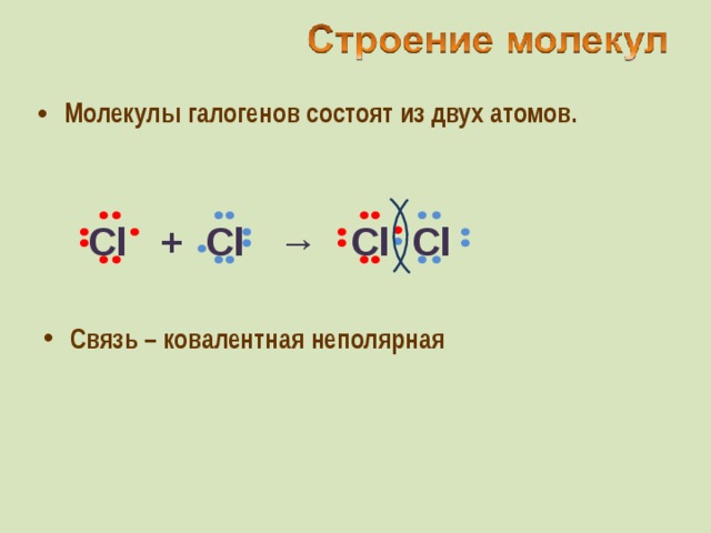 Молекулы галогенов состоят из двух атомов. Cl  +  Cl  →  Cl Cl Связь – ковалентная неполярная