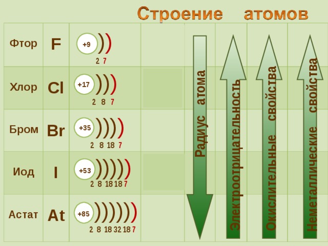 Радиус атома Электроотрицательность Окислительные свойства Неметаллические свойства  Фтор  Хлор  F  Бром    Cl  Br  Иод  2 s 2 2р 5  I  Астат 3 s 2 3 p 5   At  4 s 2 4 p 5  5 s 2 5 p 5   6 s 2 6 p 5  ) ) +9 2 7 )) ) +17  2 8 7 ))) ) +35 2 8 18 7 )))) ) +53 2 8 18 18 7 ))))) ) +85 2 8 18 32 18 7 9
