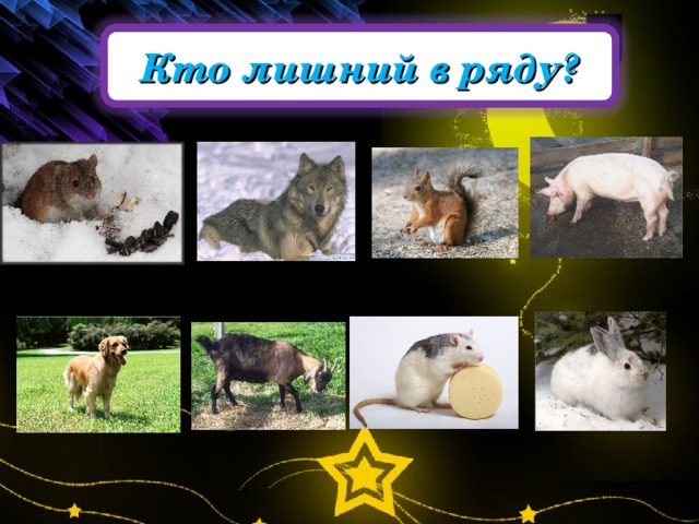 1 Кто лишний в ряду?