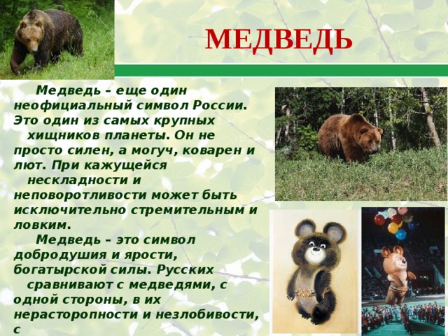 МЕДВЕДЬ  Медведь – еще один неофициальный символ России. Это один из самых крупных хищников планеты. Он не просто силен, а могуч, коварен и лют. При кажущейся нескладности и неповоротливости может быть исключительно стремительным и ловким.  Медведь – это символ добродушия и ярости, богатырской силы. Русских сравнивают с медведями, с одной стороны, в их нерасторопности и незлобивости, с другой – в их умении постоять за себя. Недаром именно медведя выбрали символом Олимпиады, проходившей в Москве в 1980 году.