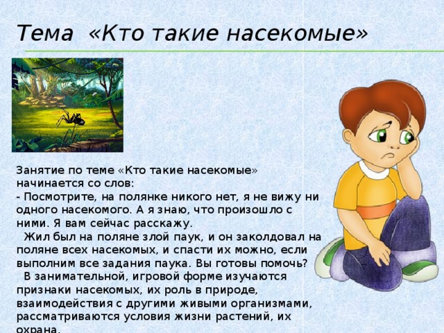 Тема «Кто такие насекомые» Занятие по теме «Кто такие насекомые» начинается со слов: - Посмотрите, на полянке никого нет, я не вижу ни одного насекомого. А я знаю, что произошло с ними. Я вам сейчас расскажу.  Жил был на поляне злой паук, и он заколдовал на поляне всех насекомых, и спасти их можно, если выполним все задания паука. Вы готовы помочь?  В занимательной, игровой форме изучаются признаки насекомых, их роль в природе, взаимодействия с другими живыми организмами, рассматриваются условия жизни растений, их охрана.