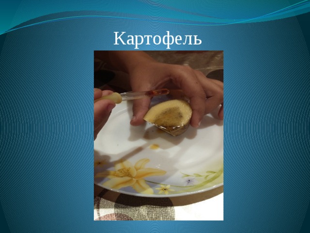 Картофель