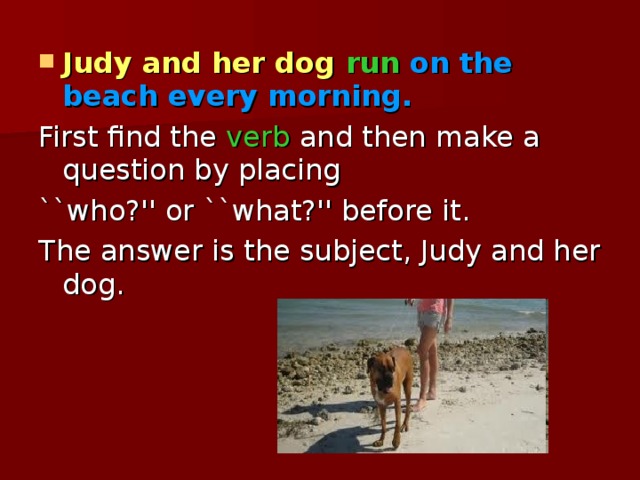 Judy and her dog  run on the beach every morning.