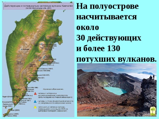 На полуострове насчитывается  около  30 действующих  и более 130 потухших вулканов.