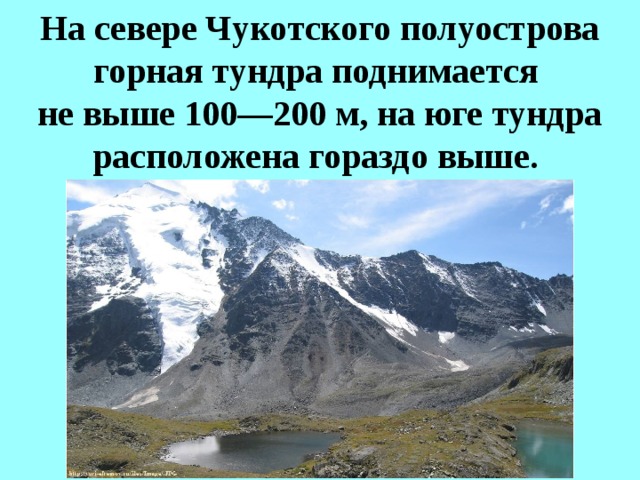 На севере Чукотского полуострова горная тундра поднимается  не выше 100—200 м, на юге тундра расположена гораздо выше.