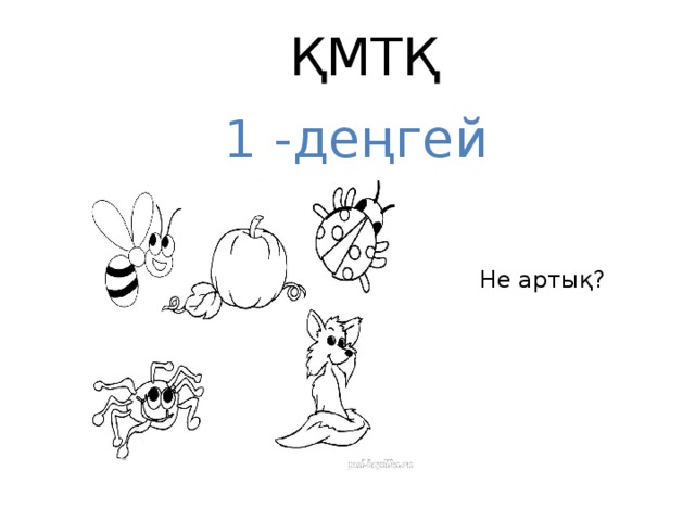 ҚМТҚ 1 -деңгей Не артық?