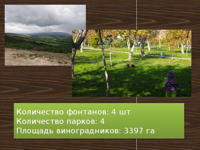 Количество фонтанов: 4 шт  Количество парков: 4  Площадь виноградников: 3397 га