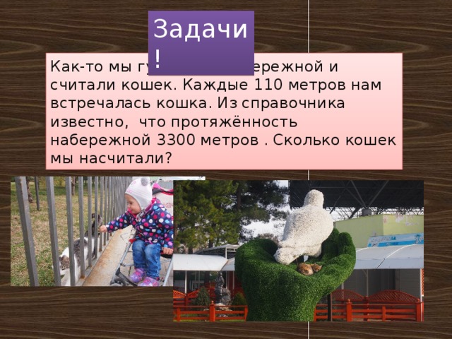 Задачи! Как-то мы гуляли по набережной и считали кошек. Каждые 110 метров нам встречалась кошка. Из справочника известно, что протяжённость набережной 3300 метров . Сколько кошек мы насчитали?