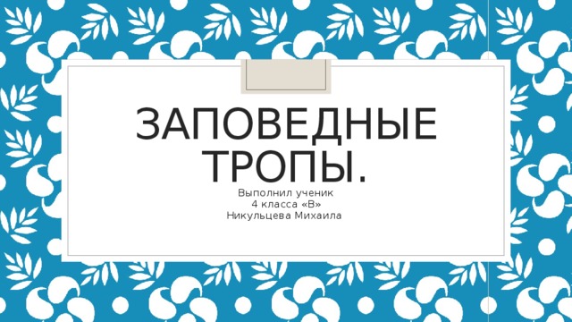 Заповедные тропы. Выполнил ученик 4 класса «В» Никульцева Михаила