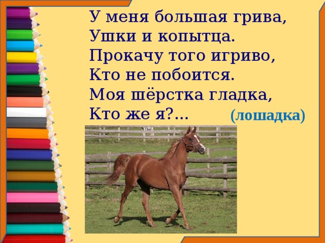 У меня большая грива,  Ушки и копытца.  Прокачу того игриво,  Кто не побоится.  Моя шёрстка гладка,  Кто же я?... (лошадка)