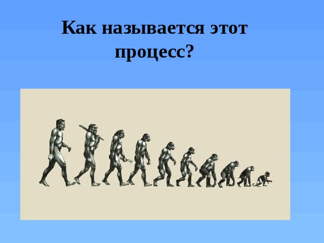 Как называется этот процесс?