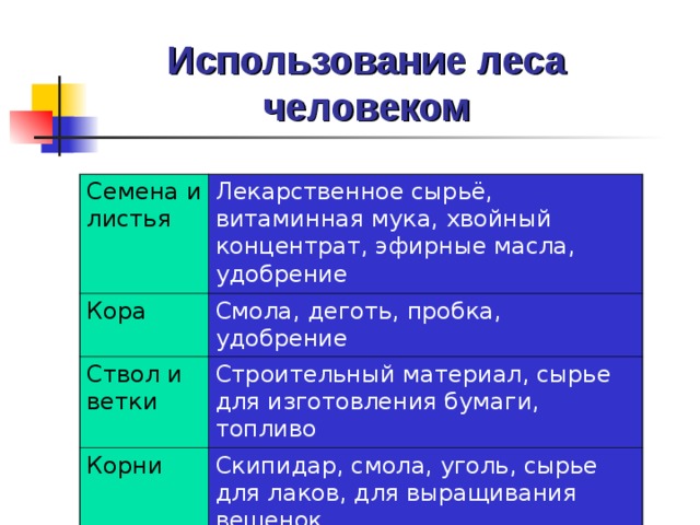 Использование леса человеком Семена и листья Лекарственное сырьё, витаминная мука, хвойный концентрат, эфирные масла, удобрение Кора Смола, деготь, пробка, удобрение Ствол и ветки Строительный материал, сырье для изготовления бумаги, топливо Корни Скипидар, смола, уголь, сырье для лаков, для выращивания вешенок