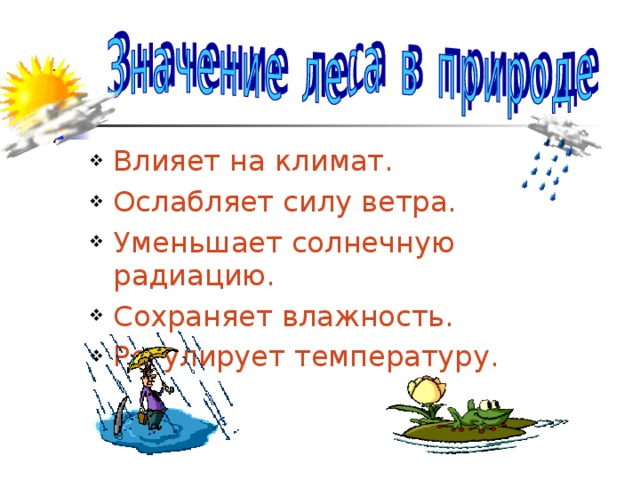 Влияет на климат. Ослабляет силу ветра. Уменьшает солнечную радиацию. Сохраняет влажность. Регулирует температуру.